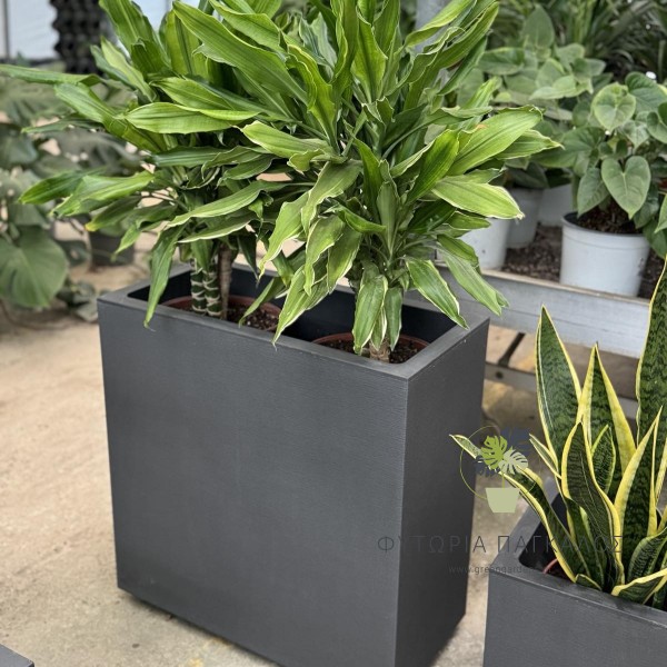 Πλαστική ζαρντινιέρα Matheria Fioriera alta